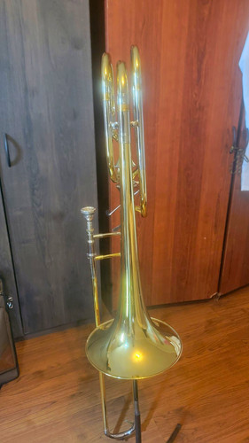 Professional bass trombone - professional,
