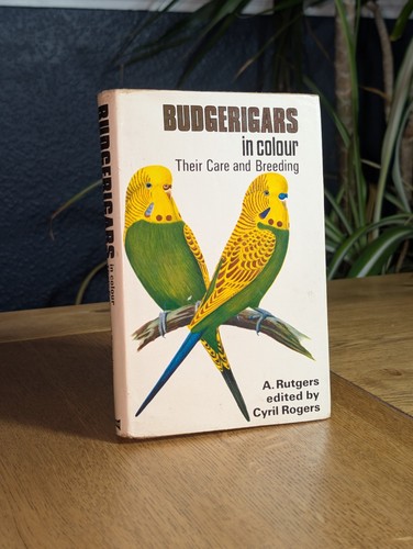 Budgerigars colour their - in,
