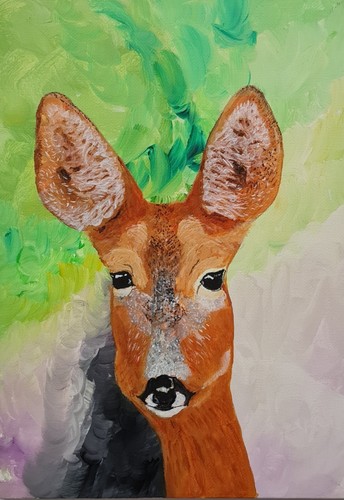 Deer wildlife nature - wildlife,,