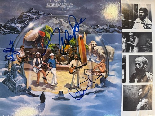 The beach boys - beach, record
