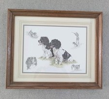 Nigel Hemming Springer Spaniel