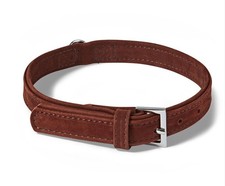 Wainwright's Dog Collar with