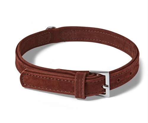 Wainwright dog collar - collar, with