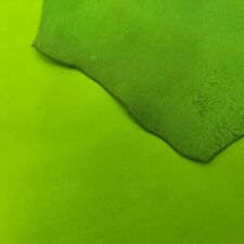 Pistachio green kangaroo