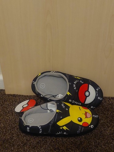 Pokémon boys pikachu - pokémon, mule
