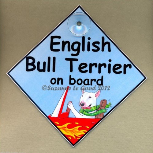 New english bull - -, on