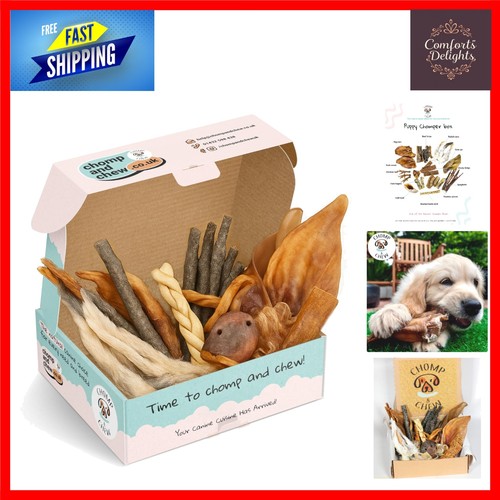 Natural puppy dog treat - natural,