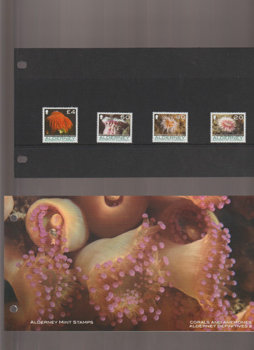 Alderney 2007 corals - 2007,