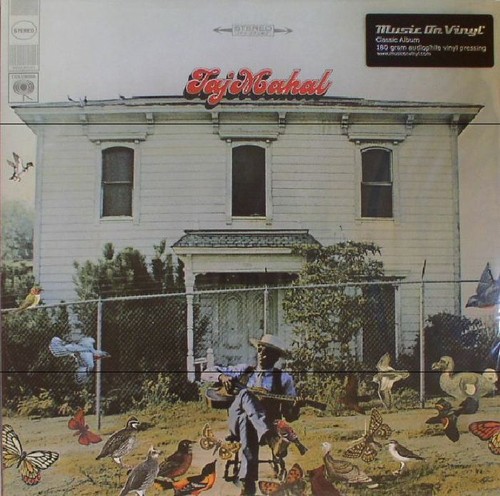 Taj mahal - taj,