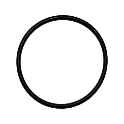 Exhaust gasket ring - gasket, o-ring