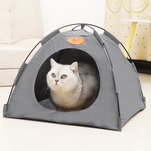 Pet tent cat puppy - cat,
