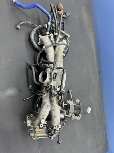 Subaru impreza wrx bug blob - impreza,