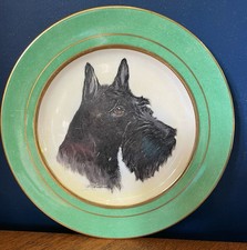 Paragon China Handpainted