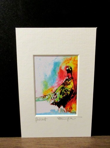 Pheasant mini art print from - art,