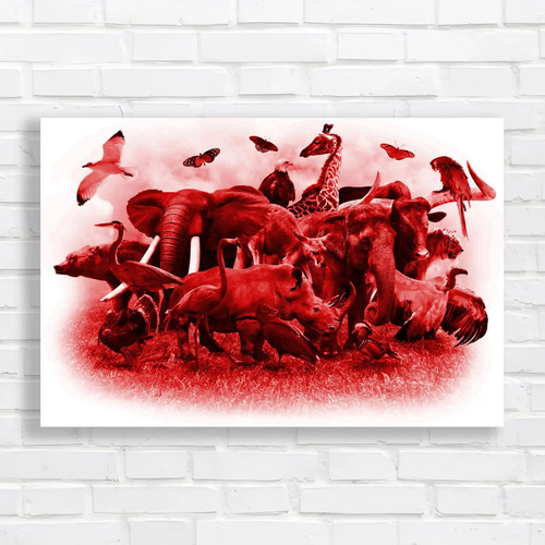 Wild animals birds - animals,