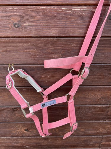 Kincade lunging cavesson - kincade,