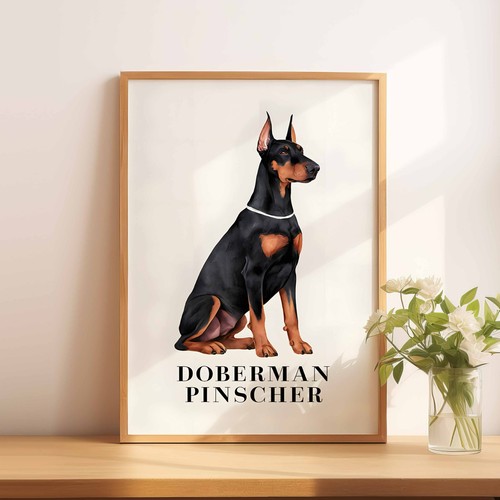 Doberman pinscher - a5,