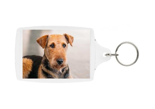 Airedale terrier keyring - terrier,