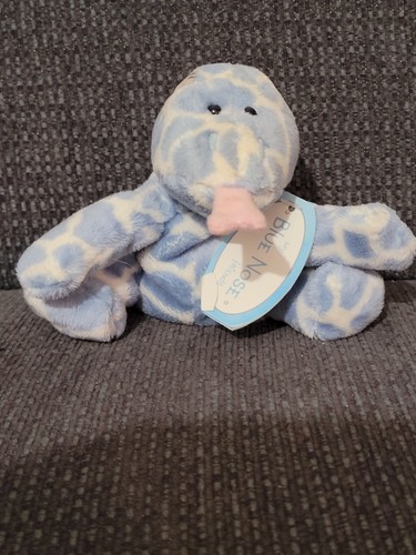 Blue nose friends - #, gossip