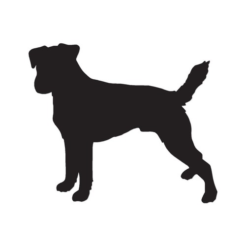 Parson jack russell terrier - parson,