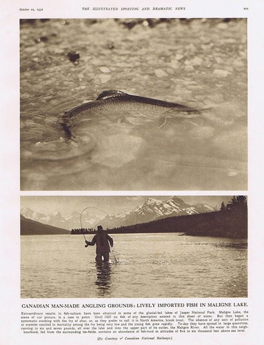 Canada fishing for - canada, trout