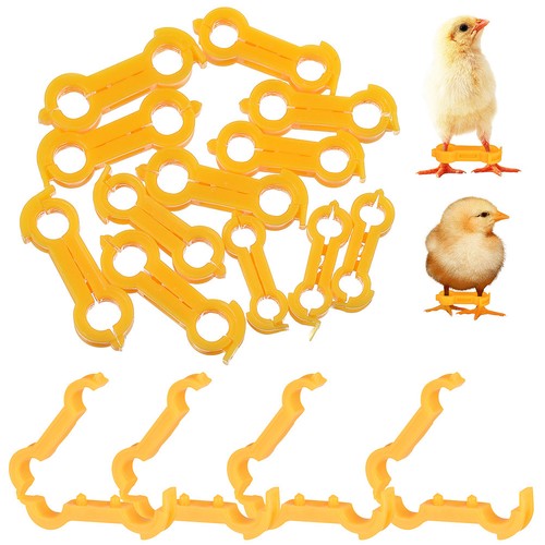 Pcs bird corrector - bird,