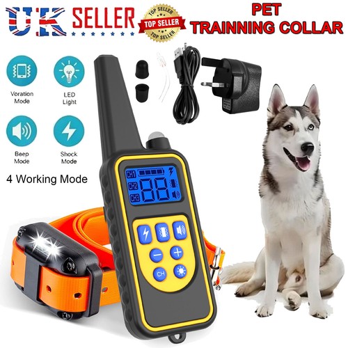 800m electric pet - 800m, training