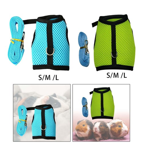 Adjustable harness with leash - adjustable,