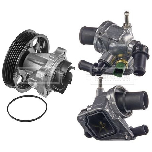 Borg beck water pump - borg,