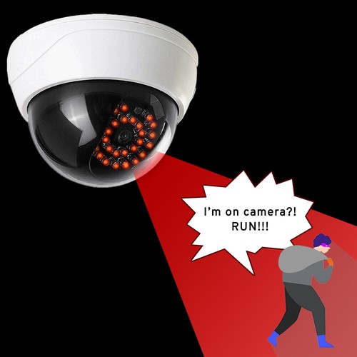 Maximalpower fake cctv - fake,