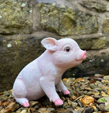 British Pink Piglet Pig Garden Kitchen Statue Piggy Ornament