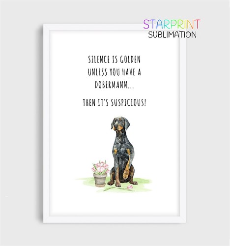 Dobermann picture unframed - picture,, a4