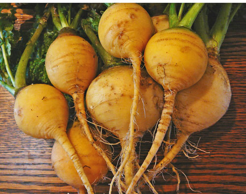 Turnip gold ball grams - gold,