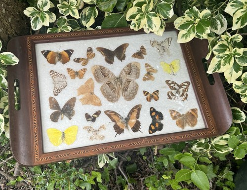 Vintage wooden tray with - tray,
