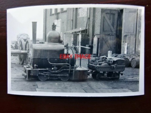 Photo lms loco wren at - ,
