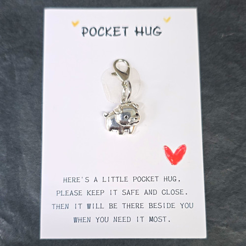 Pocket hug silver - pocket, tone