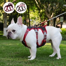 No Pull Dog Harness Soft