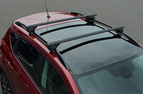 Black cross bars for roof - bars,