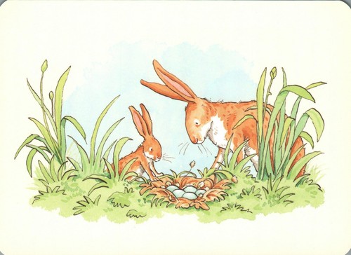 Bunny rabbits looking - rabbits,