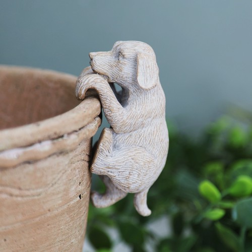 Labrador pup plant - labrador, hanger