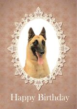 BELGIAN SHEPHERD DOG MALINOIS