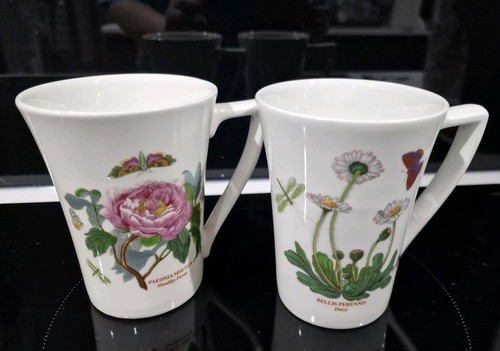 Pair portmeirion botanic - of,