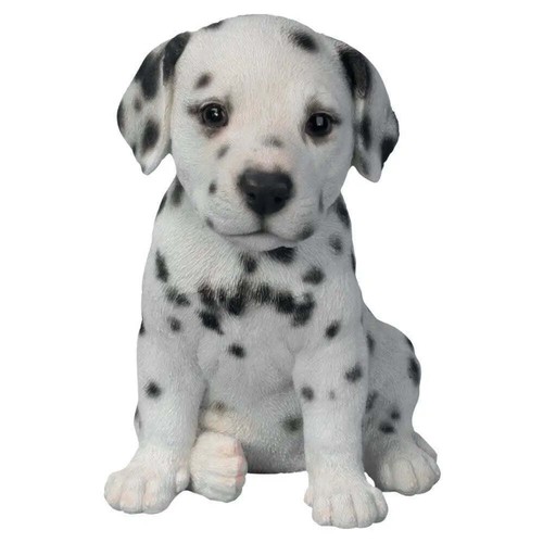 Vivid arts pet - arts, dalmatian
