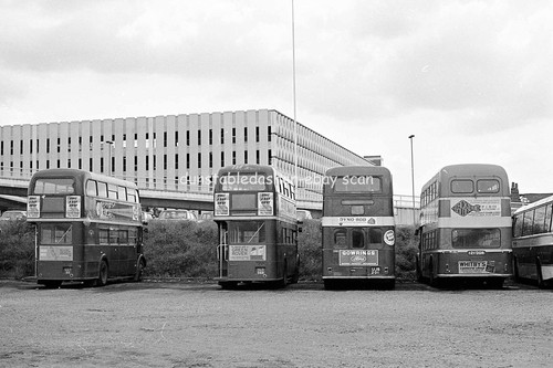 Bus negative alder valley - bus,