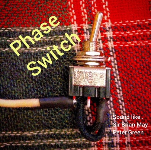 Phase reverse switch prewired - reverse,