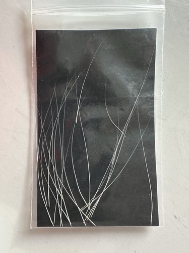 Real cat whiskers white - real,