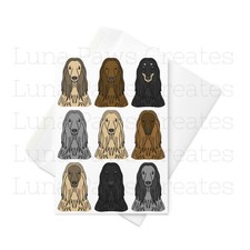 Afghan Hound card, Afghan