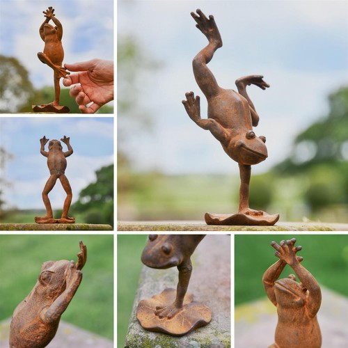 Frog yoga decorative - frog,