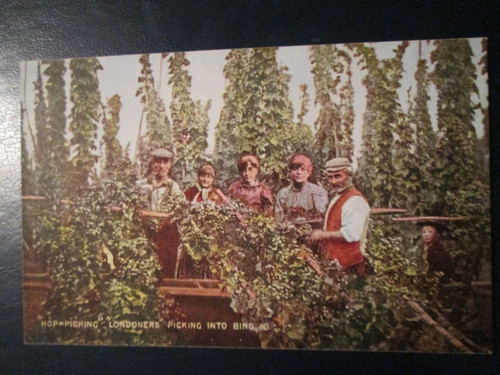 Postcard hop picking - postcard,