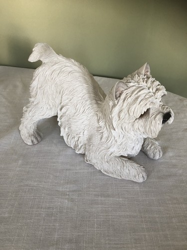 West highland terrier - highland,